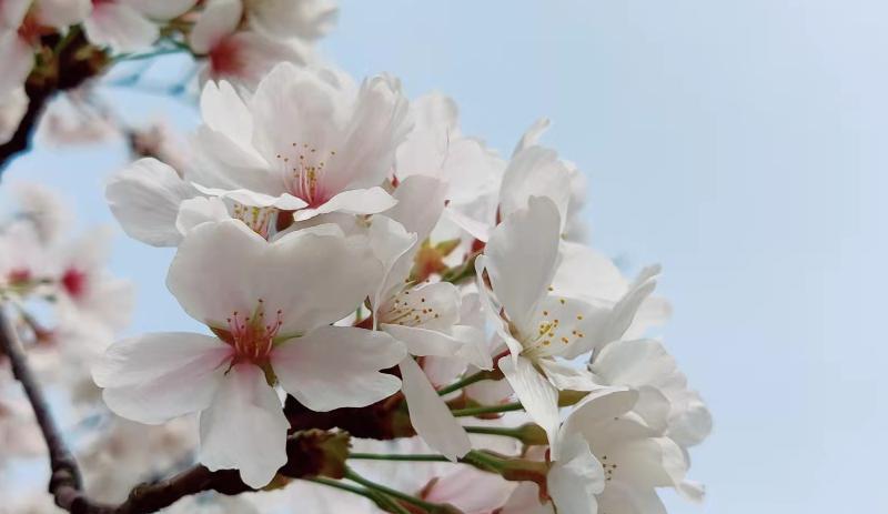 |那些有上进心的人都有这5大表现