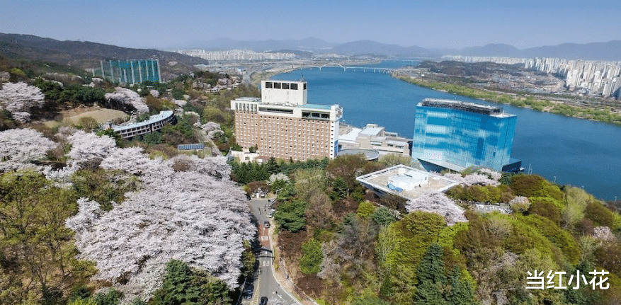 孙艺珍|孙艺珍玄彬大婚，穿3套婚纱，明星好友们都来了