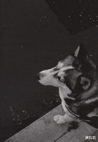 娱乐圈|央视爸爸：拯救不了娱乐圈，那我就接手娱乐圈