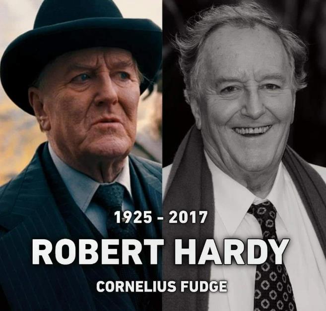 哈利·波特|很难相信,哈利波特中的18位演员已经不在了