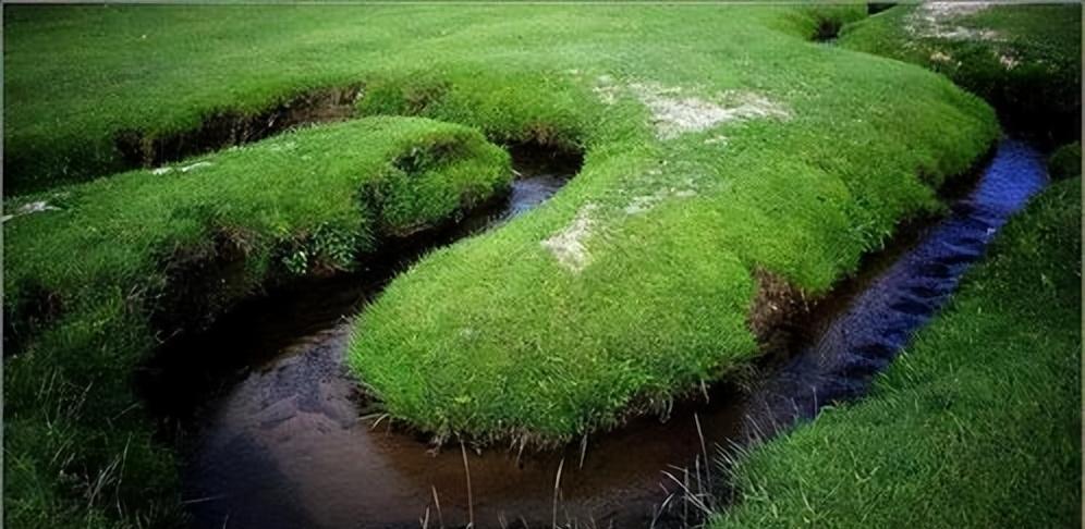 草原|这条以细著称的河！最窄处仅十厘米，一只手便可“掐”掉一条河