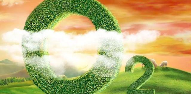 不靠氧气生存的动物?科学家不清楚原因,或颠覆对生命的认知