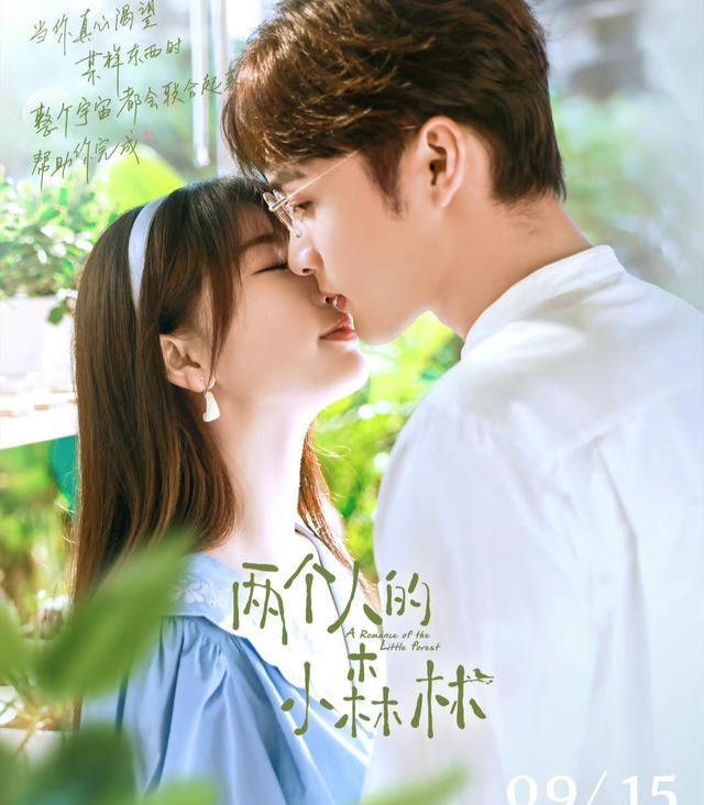 陈晓|即将播出的五部剧,不同题材随便选,来看看有没有你想看的吧!