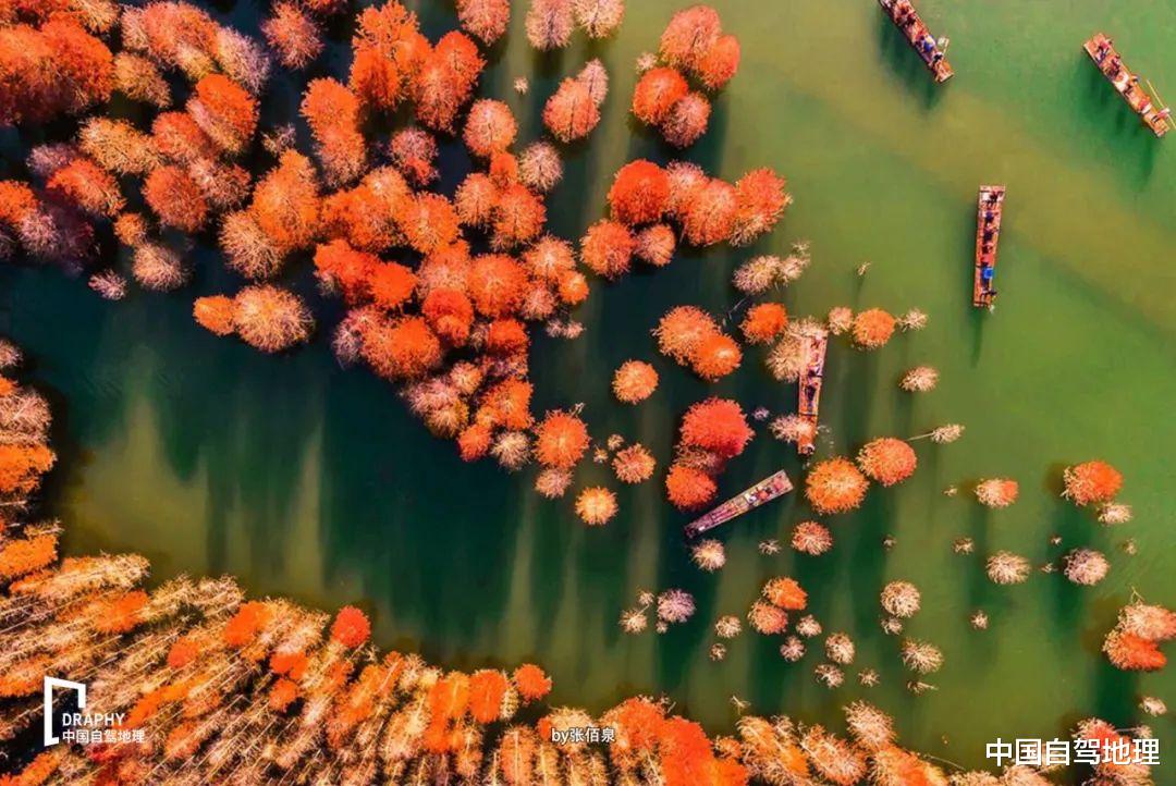 自驾|江南最火的自驾穿越线?深秋初冬景观最佳,这篇指南带你一探究竟丨?皖南路书