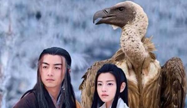 景甜|2022年,“神雕大侠”火了,不是因为剧情,是因为名字,你阳了吗