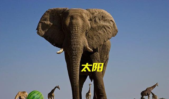 太阳到底有多大?5个维度了解太阳大小,一目了然