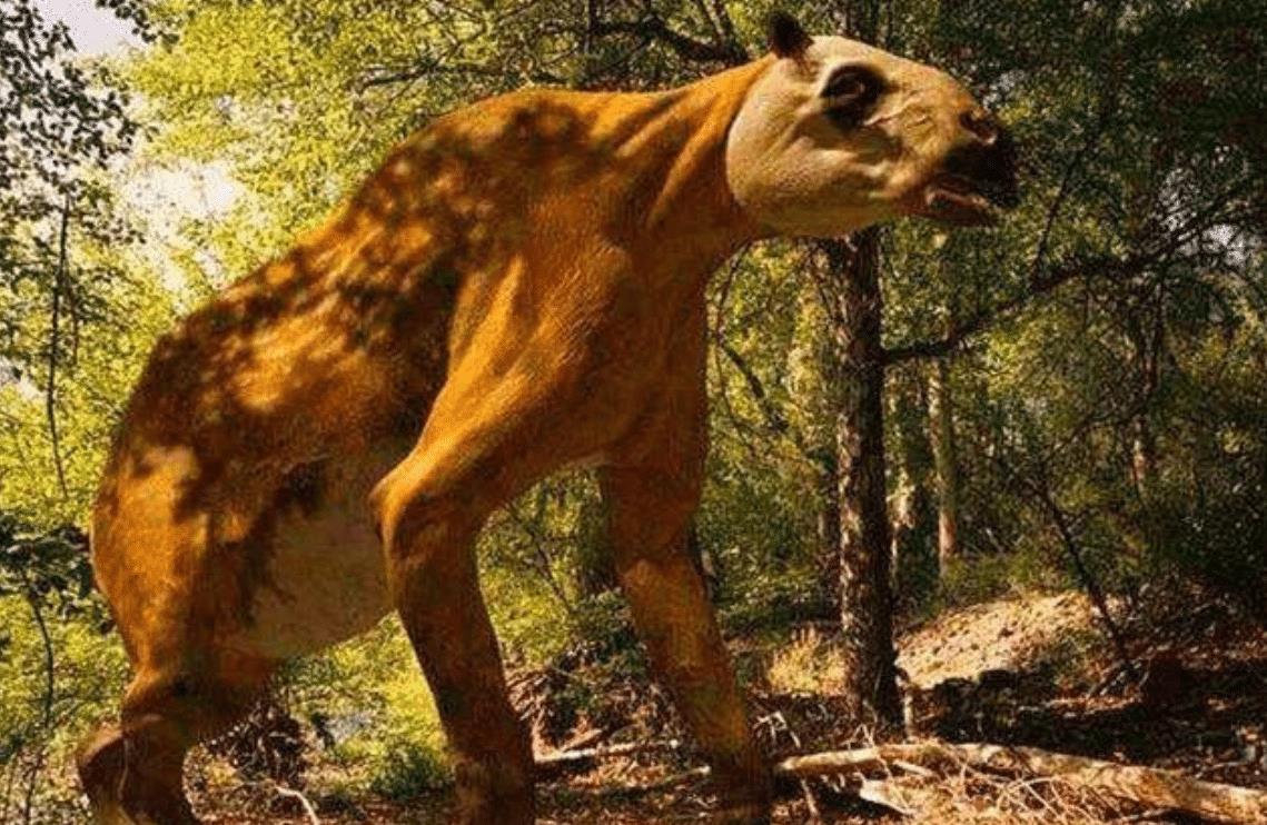 “驴头狼”已灭绝50万年,却又出现在神农架地区,这警示着什么?