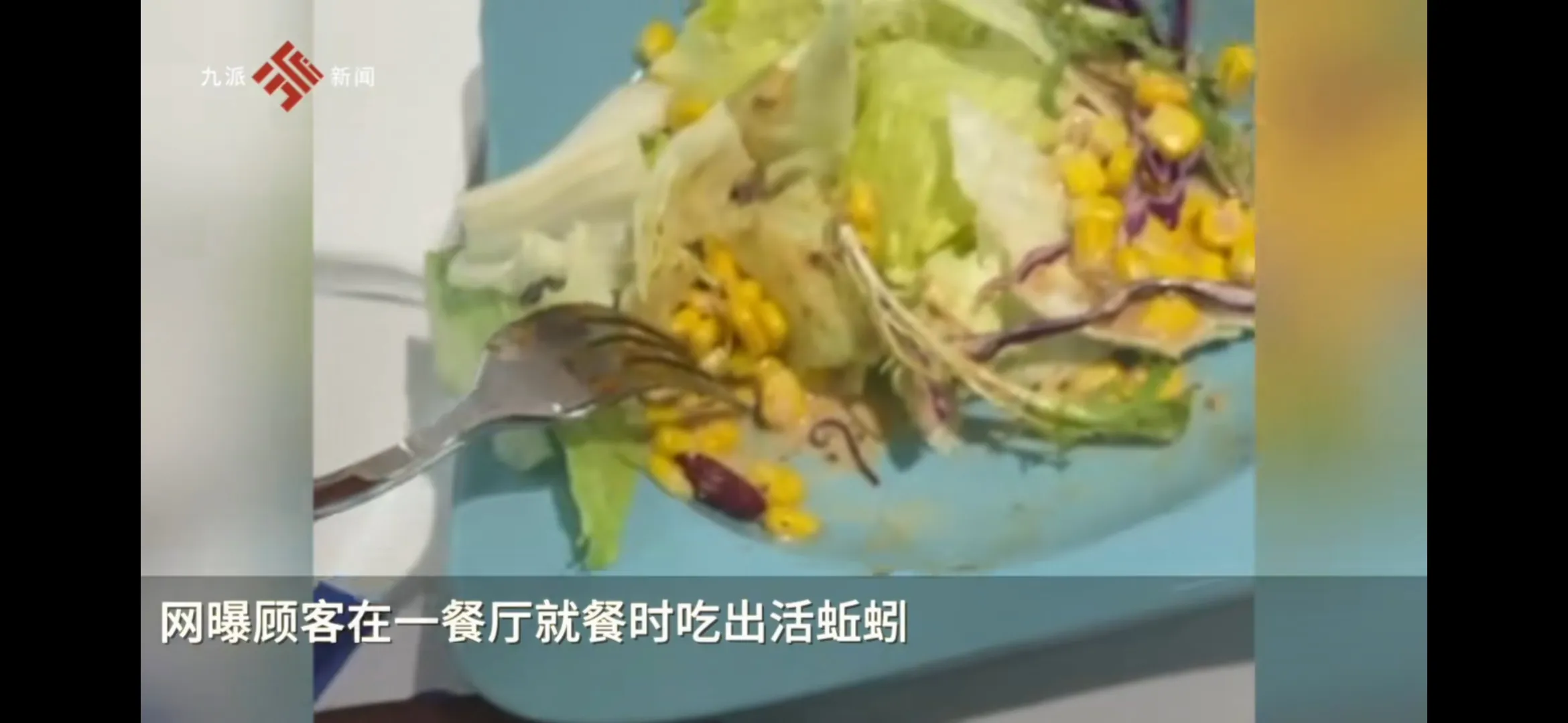 河北邯郸,一女子到某牛排店就餐,点了一份蔬菜沙拉。不料在吃的过程中,女子在沙拉中发现一条蚯蚓