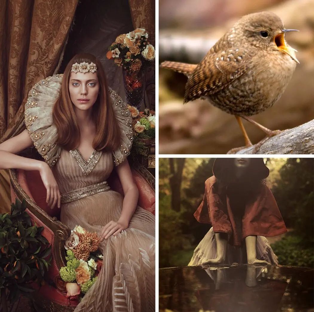 设计师不再钟爱的室内设计趋势