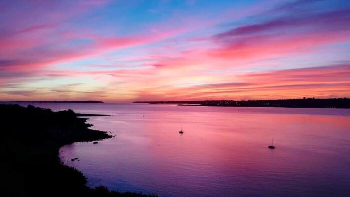 星座女|猫巫先生十二星座周运2022年9.26-10.2:社交丰富,喜好自由