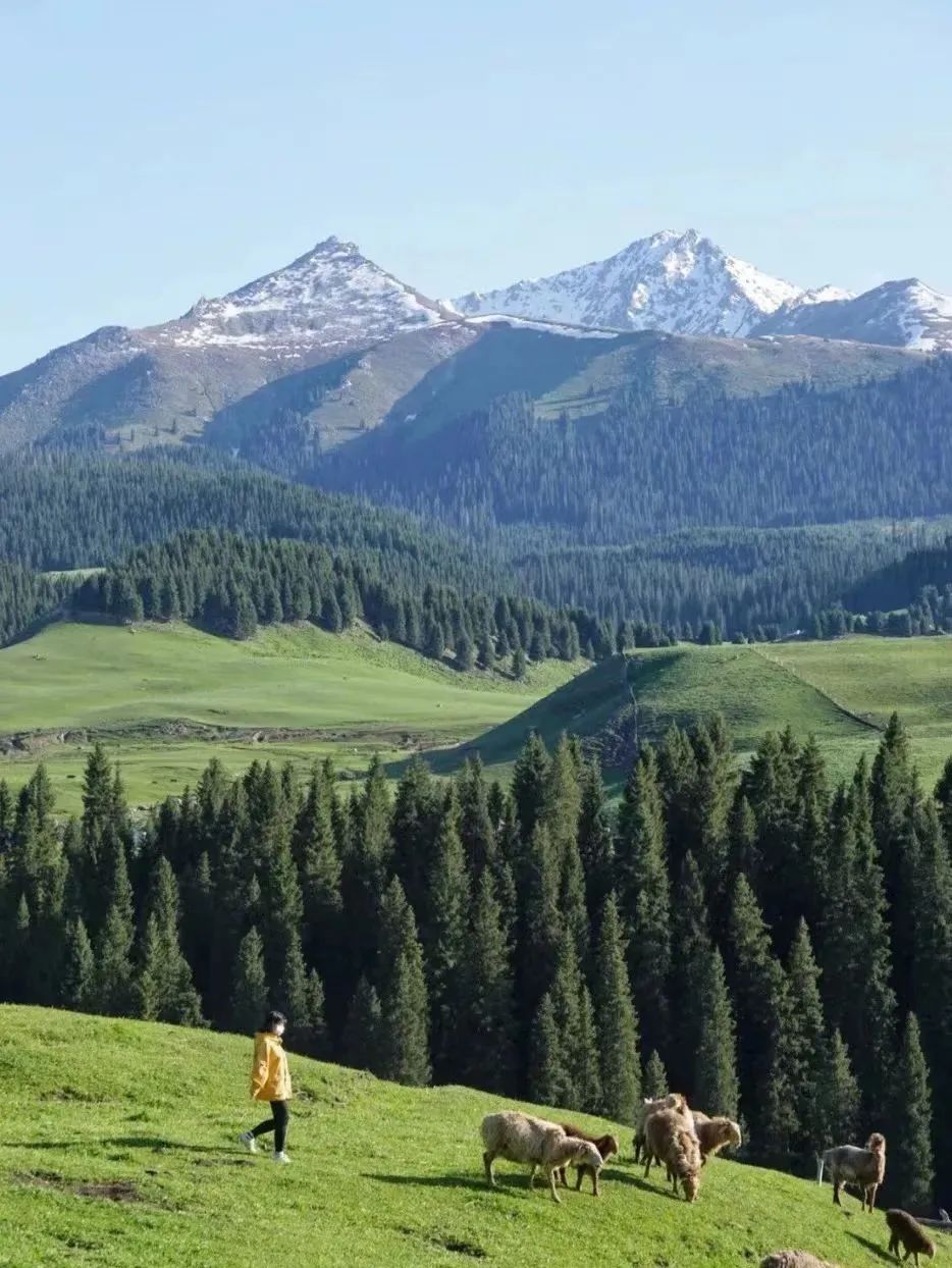 消费券|2022年的夏天,应该没有人不想去新疆吧