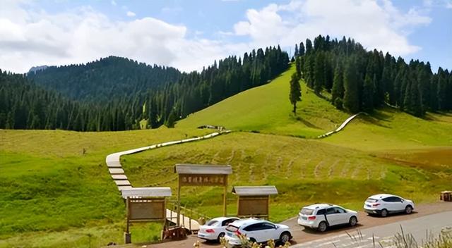 江浙沪|速看！新疆发布事关旅游、出行、教育等重要信息！与你有关