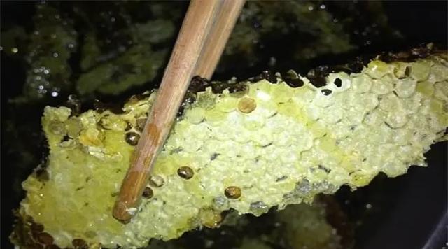 韩国78亿只蜜蜂离奇消失,预计损失高达4亿,蜜蜂为何成群消失?