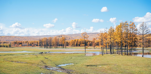 内蒙古|内蒙古一A级景区，有“亚洲第一湿地”的美誉，却因秋景美上热搜