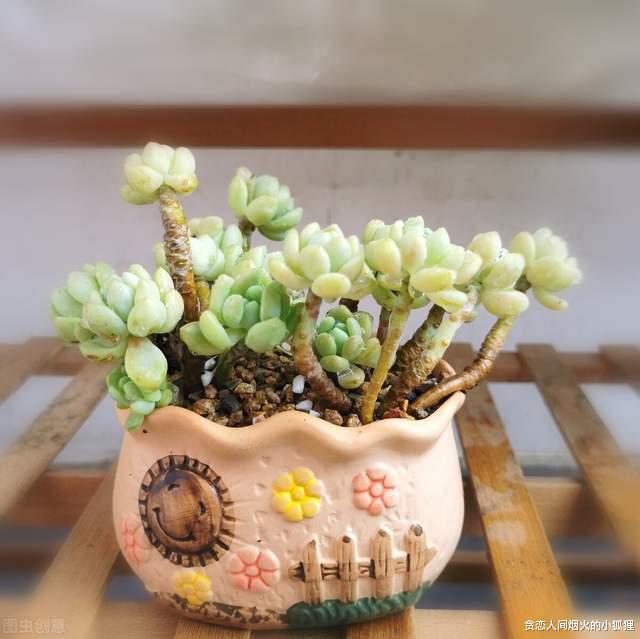 烧饼 突然发现，不仅是追求物欲，追求极致体重，也是一种贪婪