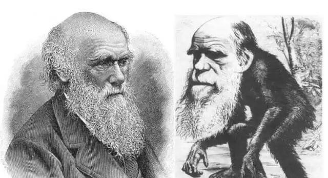 科学家发现人类是鱼进化而来的,网友疑惑:不是古猿进化的吗?