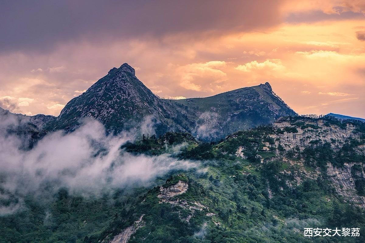 秦岭|秦岭山色有无中