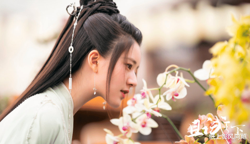 杨洋|一口气刷10集，豆瓣差评如潮，杨洋《且试天下》当真如此不堪？