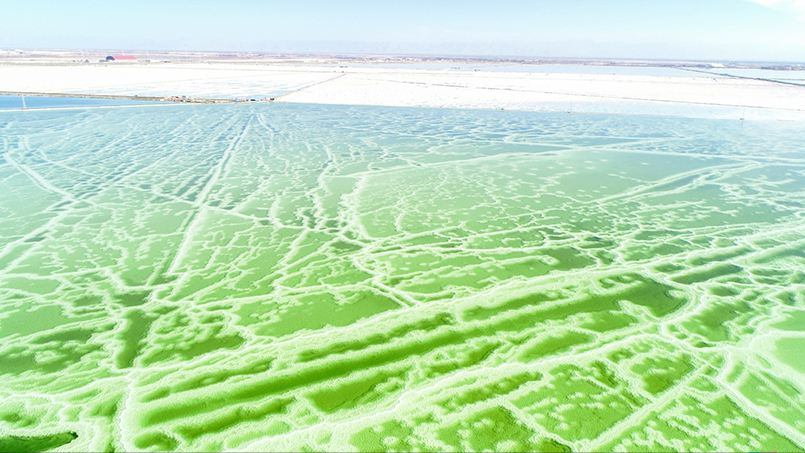 云南|网络热门旅游景点，你去看过几个？