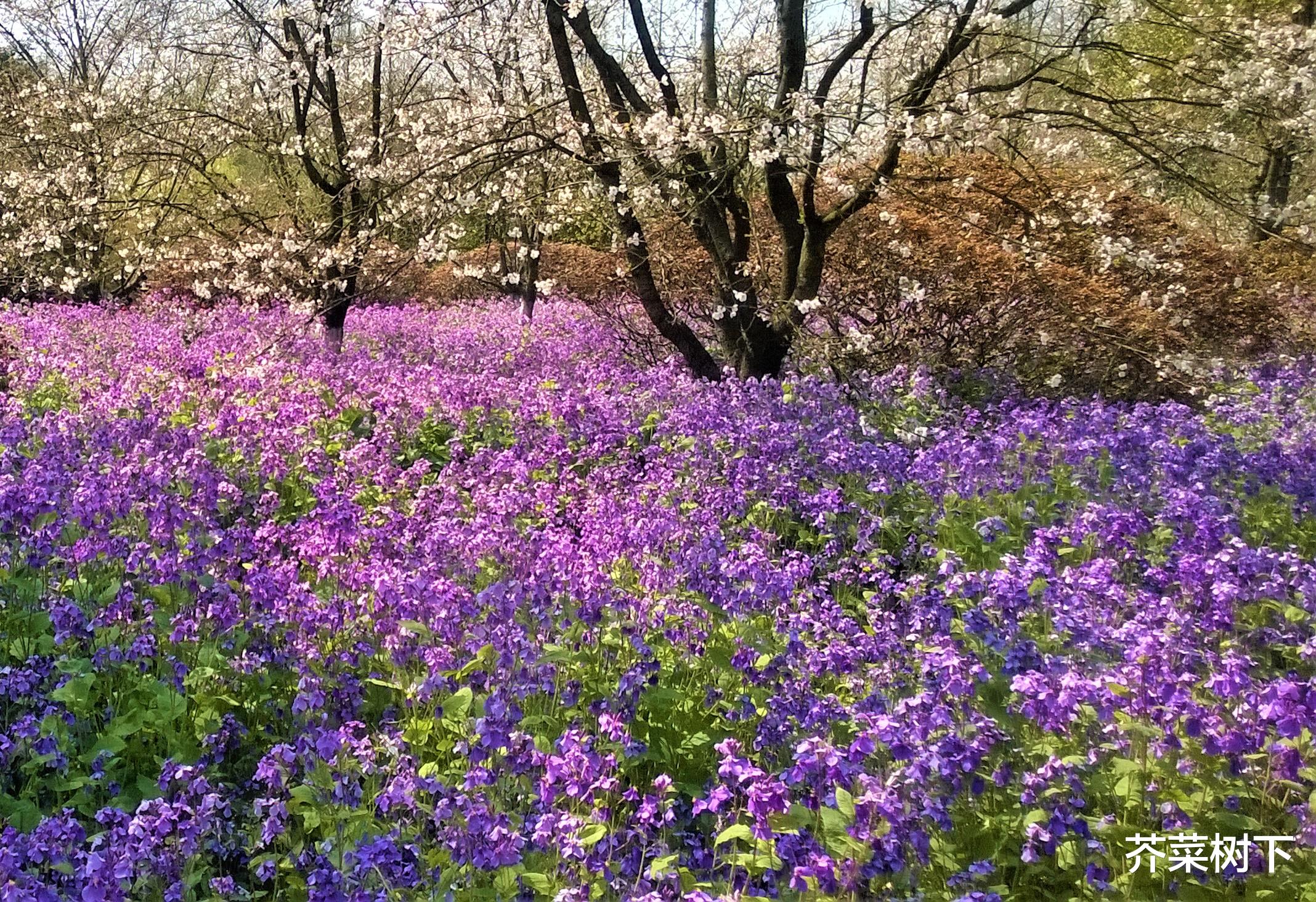 |人在职场,没必要求全