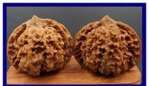 文玩核桃|聊聊文玩核桃的各种纹路