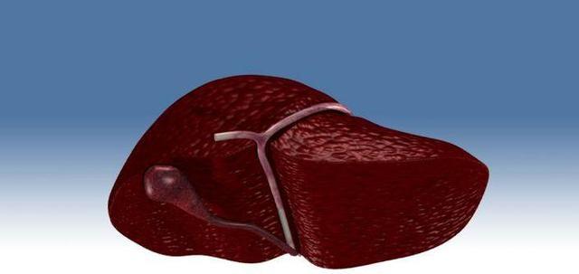 肝脏|医生呼吁停止使用绞肉机,因为会伤肝、致癌?不要再被忽悠了