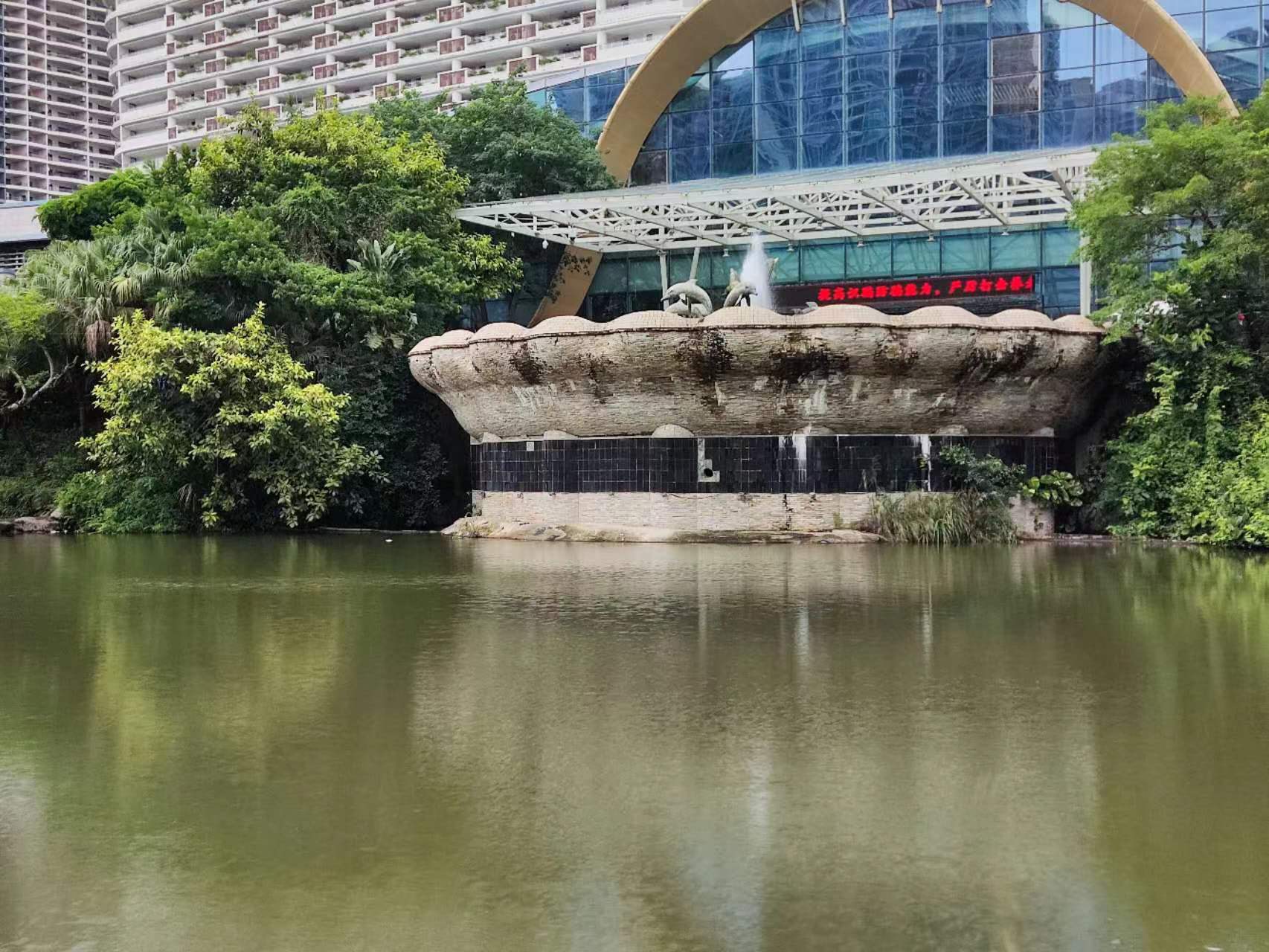 贺涵|贺涵为什么喜欢罗子君