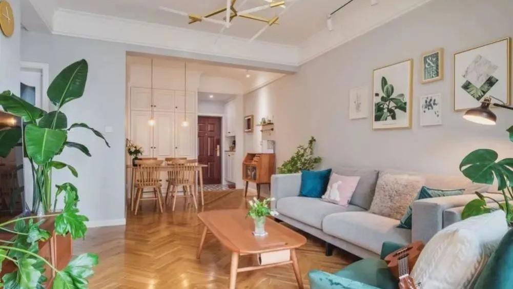 晒晒我家阳台花园，喝茶赏花享受生活，同事来了都舍不得走