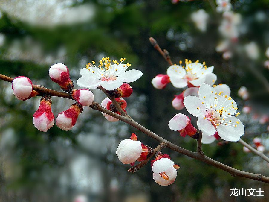 |碧水向东流，斜阳照村落