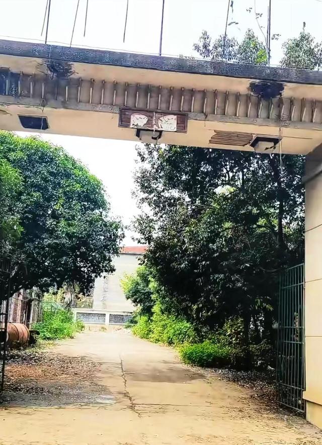 东南亚|好多工厂搬去了东南亚,如果工厂都搬走了,那我们去哪里找工作呢