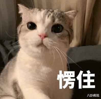 张铁林|老家伙张铁林吃相难看!用脚点评他人书法,私生活混乱不堪!