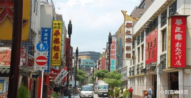 日本是礼貌的国家，街道的中文标语，却闹出了不少的笑话
