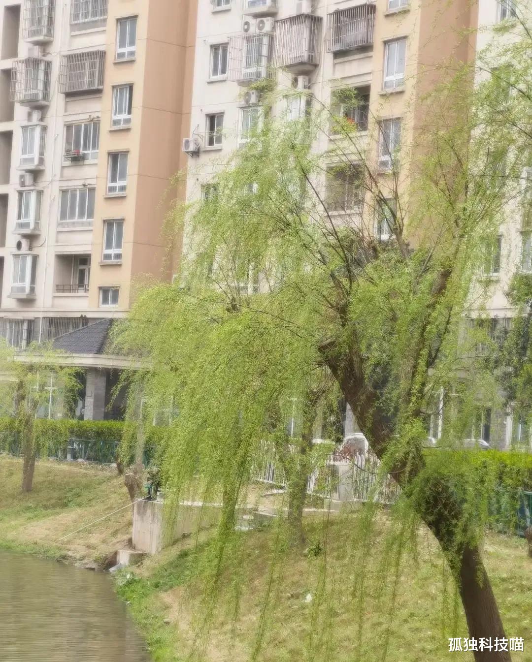 嘉兴|在嘉兴买了一套房，现在跌惨了