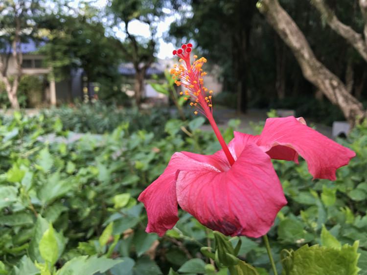 安徽|南宁南湖公园