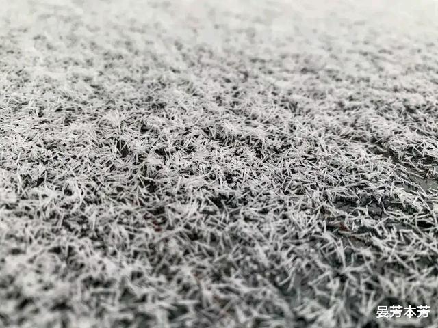 河南多地下罕见“冰针”雪,众人称没见过,像味精又像长粒香米