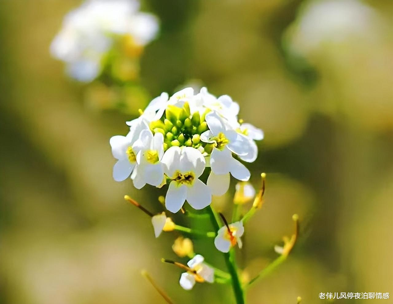蜗居|《蜗居》：再出色的第三者，不幸的结局也是必然！
