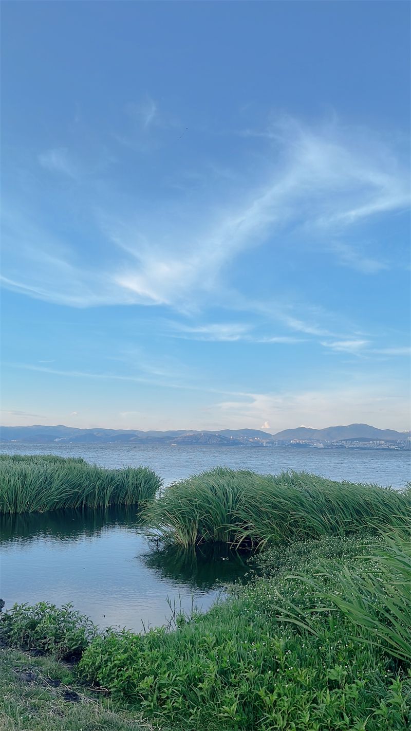 大理|【有一种生活叫大理】夜之大理,正在洱海边