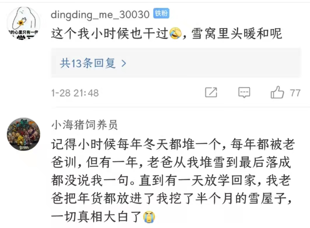 东北孩子用木棍凿出2米长雪洞!网友表示,小时候都干过