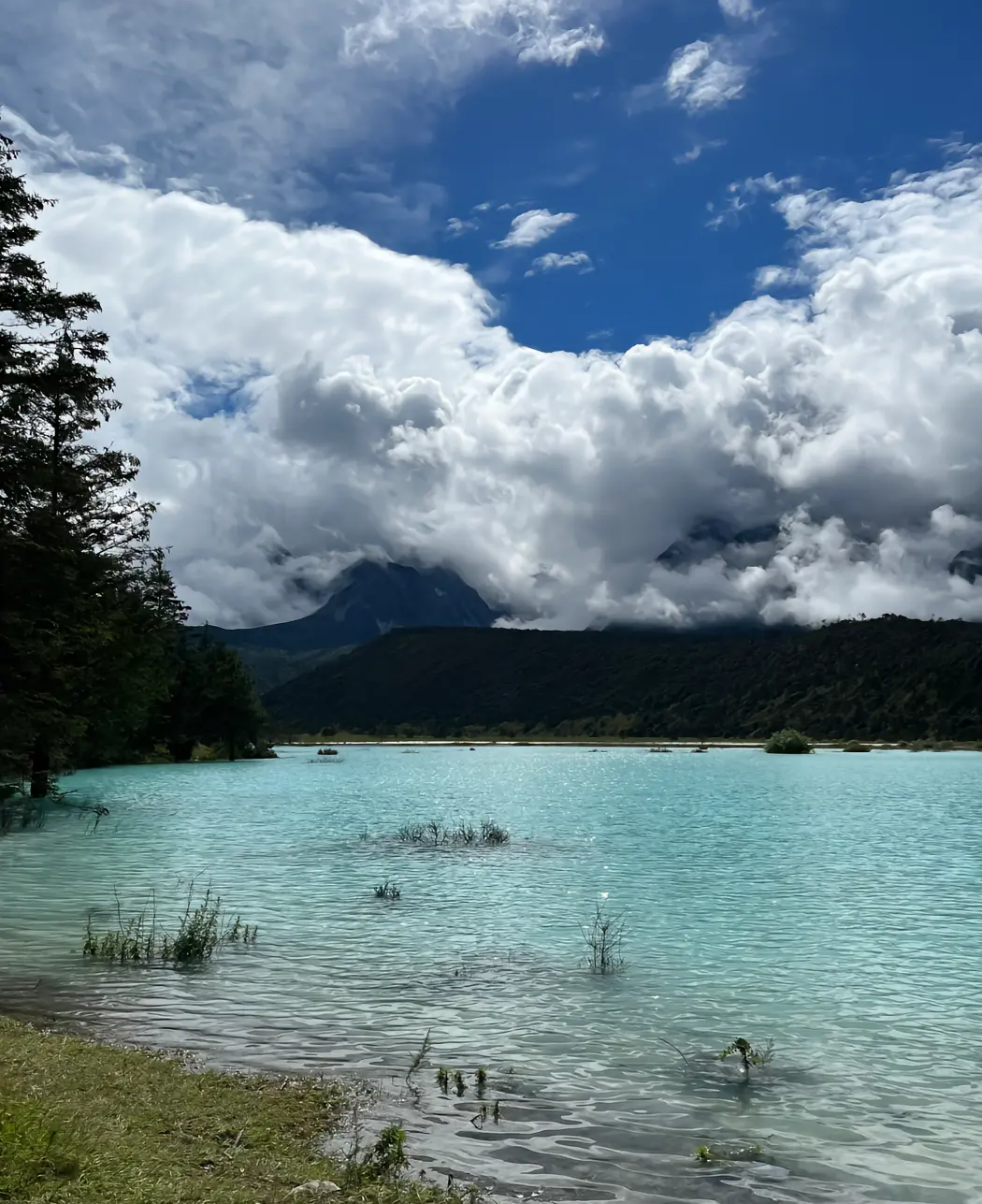 高晓松|孙卓孙悦再次开启“旅行模式”，照片随之流出，果然没少挣