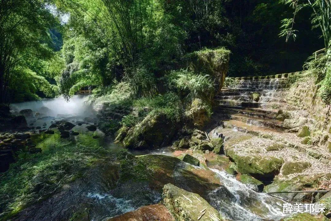 峨眉|莫向临邛去丨在户外天堂川西竹海,这些数字代表什么