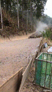 陈奕迅|陈奕迅老婆新潮装扮遭吐槽：像大街上跑出来的SJB