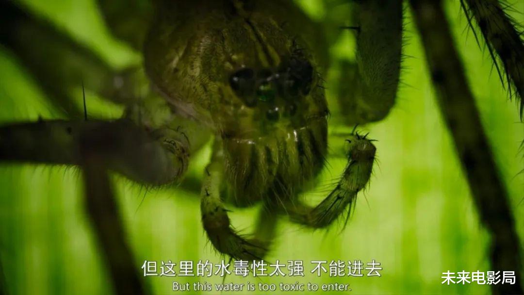 卡梅隆的新作,《阿凡达2》的预热,最新技术展现动物奇观