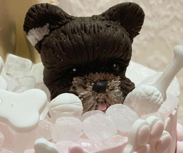 李嘉欣|李嘉欣给宠物狗庆生,脸蛋圆润气色好,奢华蛋糕很吸睛