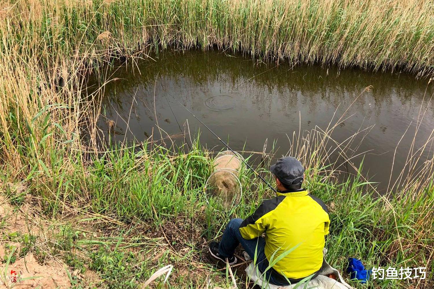 霜降|深秋钓鱼的4句口诀，钓鱼新手必看的钓鱼技巧