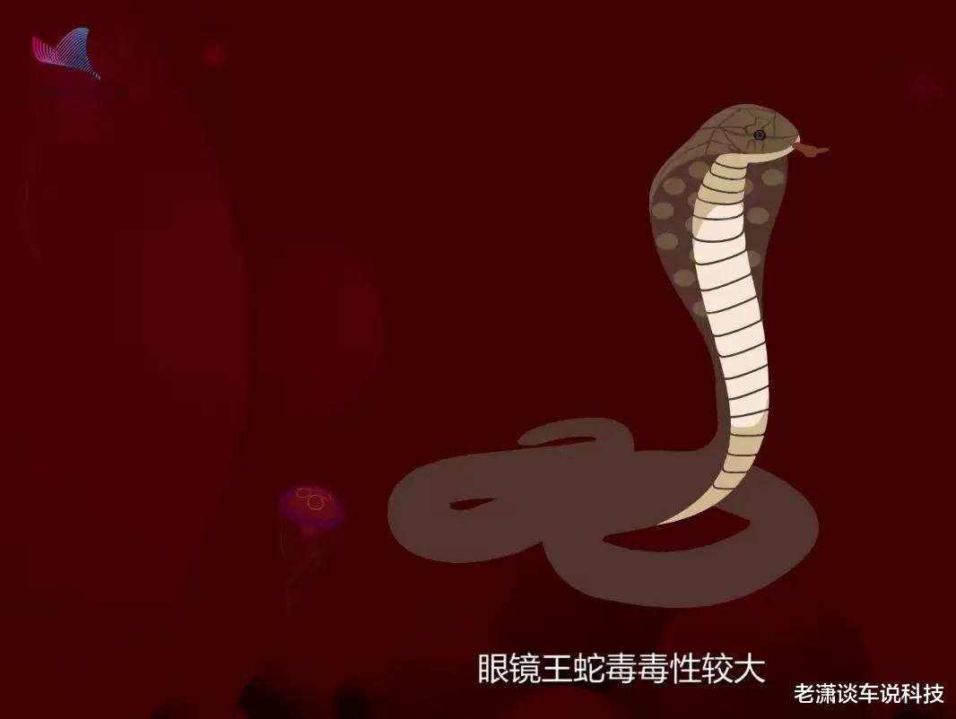 蛇害怕什么?真的不是雄黄粉,央视的一场实验说明了原因