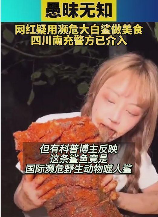 网红提子鲨鱼事件后续,警方确认为保护动物,或将面临刑事责任