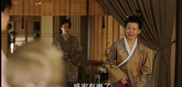 知否知否应是绿肥红瘦|《知否》林噙霜变卖家产,本来大娘子稳赢了,为什么又输了?