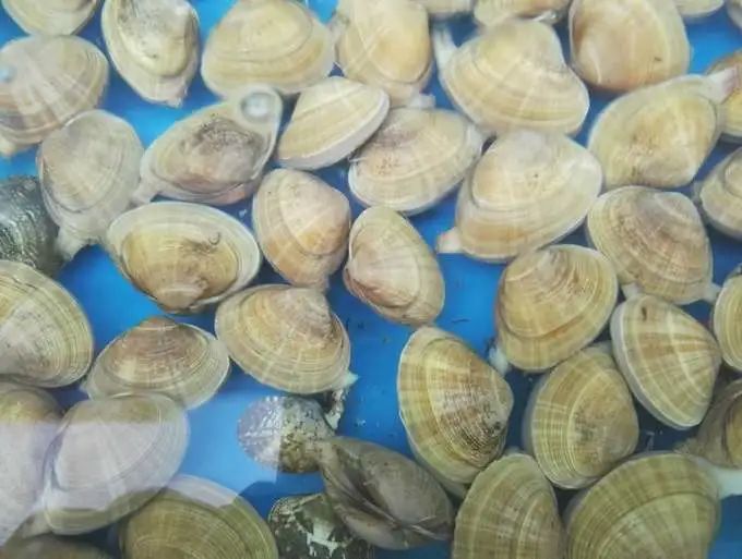 北戴河|北戴河旅游攻略游记：缤纷夏日休闲之旅