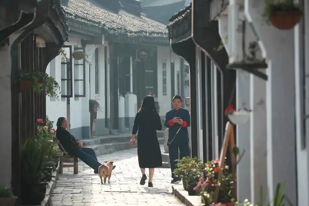 奉贤|一枕悠梦寻青溪丨奉贤风物