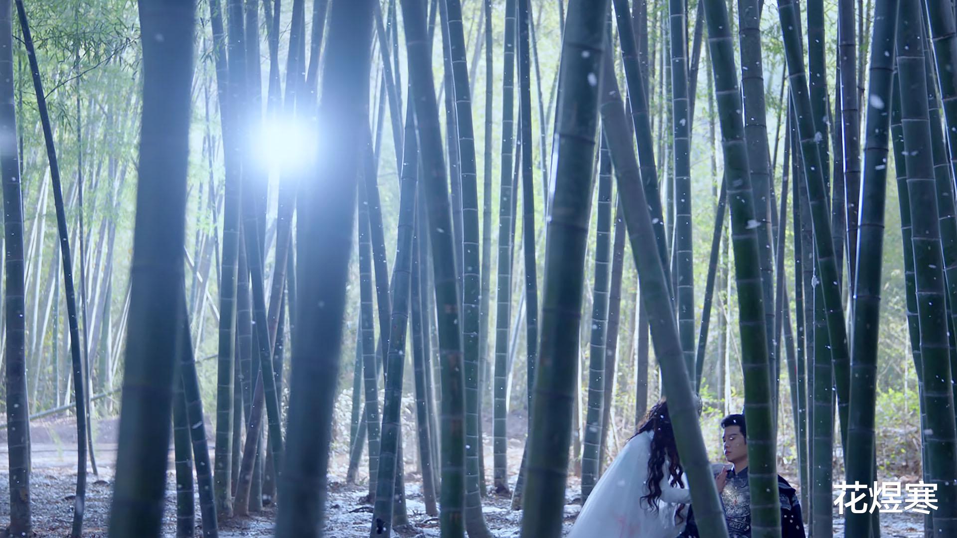 陆炎|《请君》原以为是穿帮，没想到是“极致”的戏剧语言，让人赞叹